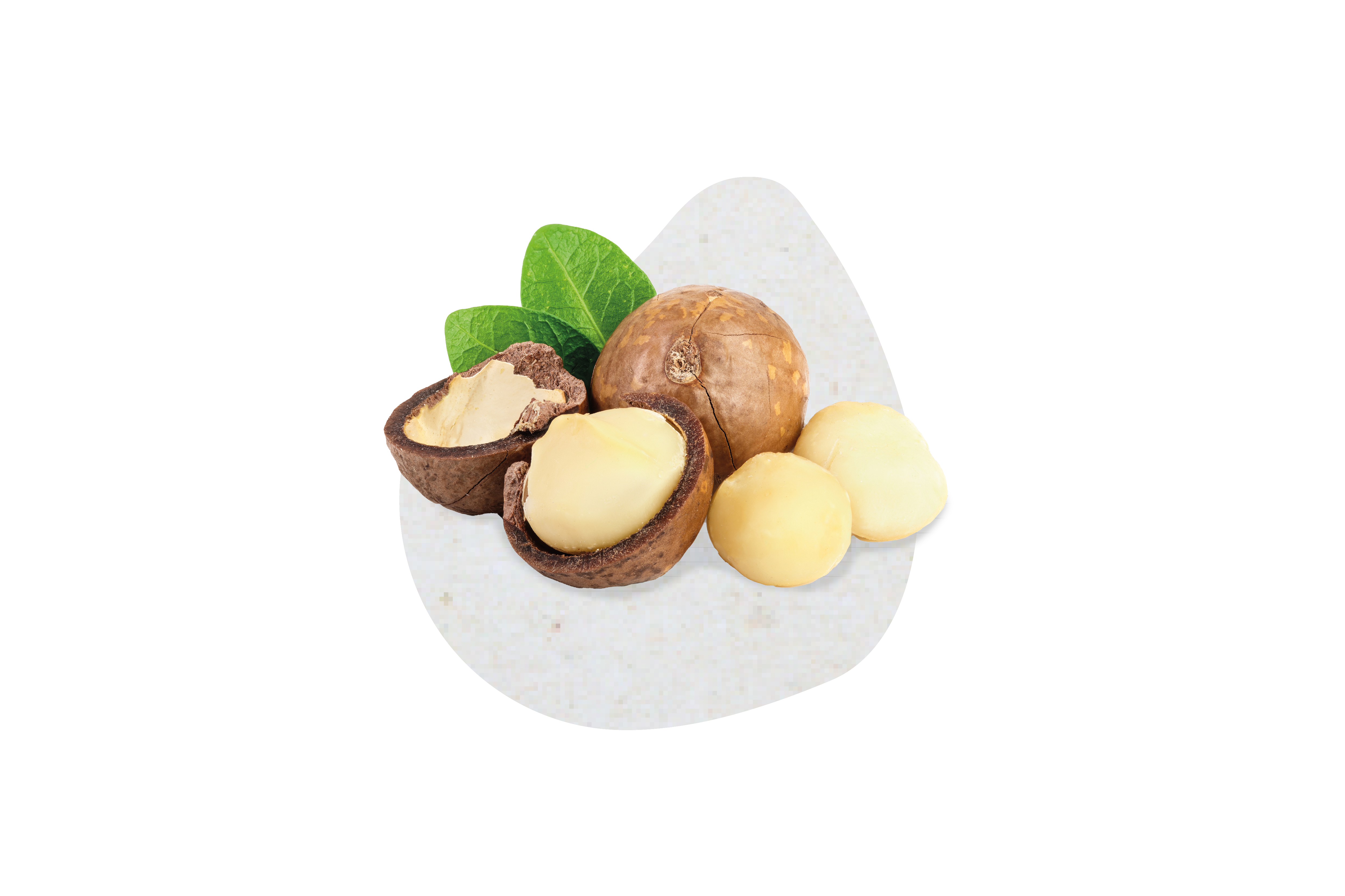 Macadamia-Paste 100% (6 KG)